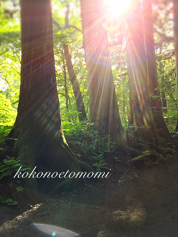 宇宙からエコヒイキされる開運方法